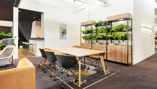 vepa_DSC5442-2000x1224-1-DE